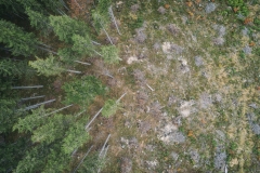DJI34k