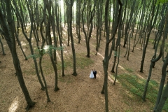 DJI_0019